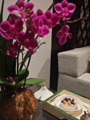 -文华东方水疗中心