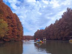 -上海海湾国家森林公园