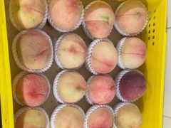 -老袁家蜜桃农场·阳山水蜜桃