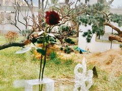 -九献创意菜·牛排馆(亮马河花园店)