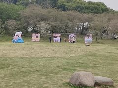-苏州上方山国家森林公园