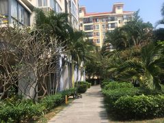 -红树湾小区