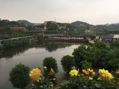 -枇杷沟农家乐·柴火鸡