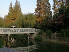 -兰溪青年公园