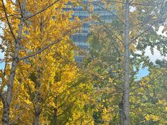 -中央广播电视总台(光华路办公区)