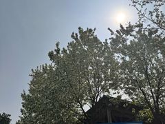 -北京鹫峰国家森林公园