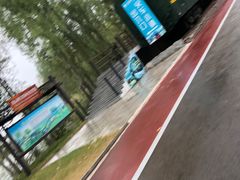 -滕州微山湖红荷湿地景区
