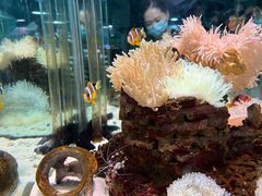 -太平洋海底世界