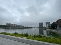 -映月湖中央公园