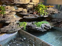 -山水茶艺馆·点心粤菜·30年老字号