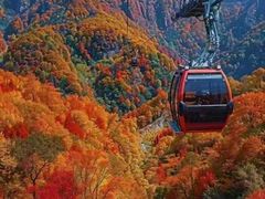 -秦岭风景区
