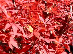 -终南山南五台景区