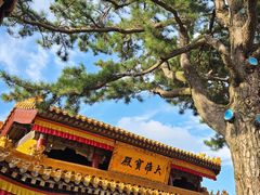 -五台山风景名胜区