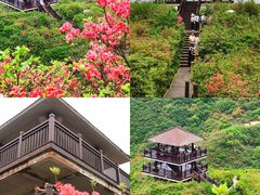 -大围山国家森林公园