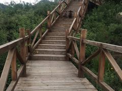 -大岭沟猕猴桃谷风景区