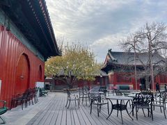-羲和雅苑•北京烤鸭(国贸商城店)