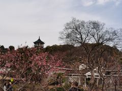 -无锡梅园公园
