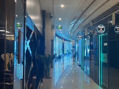 -绿树电竞(五路店)