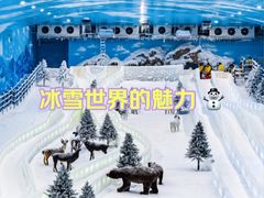 -世界之窗阿尔卑斯冰雪世界