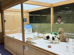 -帕帕拉兹宠物(亚洲旗舰店)