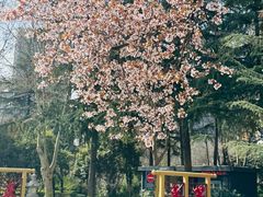 -木塔寺遗址生态公园