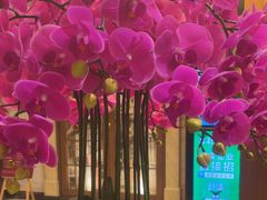 -上海小南国(国发店)