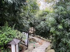 -三江森林温泉度假区