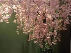 -尊足养生·影院足道·主题spa·采耳(浦江店)