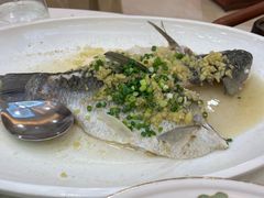 榄角边鱼-聚福山莊·寻味顺德(北滘店)