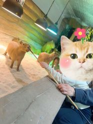 -Zoolung Zoolung动物主题公园(海信广场店)