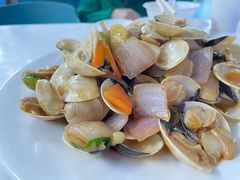 爆炒海白螺-汪姐海鲜(侨港总店·金冠好店)