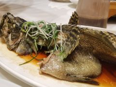 -湖影中餐厅·南京金茂威斯汀大酒店