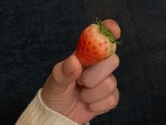 -小天鹅戴斯酒店鲸鲨百汇创作料理