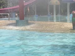 -大河马水上世界
