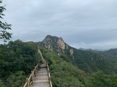 -大岭沟猕猴桃谷风景区