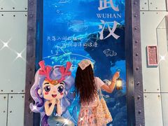 -海合安武汉极地海洋公园