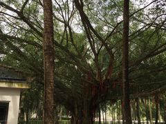 -红色娘子军纪念园