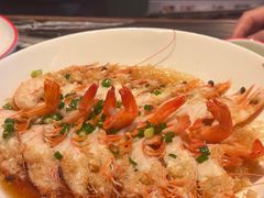 -新白鹿餐厅(虹桥南丰城店)