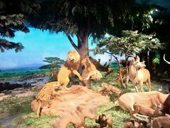 -国家自然博物馆