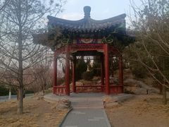 -马记伊源斋涮肉·清真菜(潘家园古玩市场店)