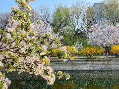 -海棠花溪(元大都城垣遗址公园)