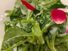 -峨嵋酒家(牡丹园店)