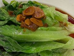 白灼罗马生菜-眉州东坡(华联万柳店)