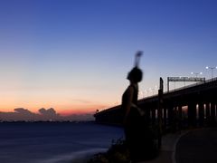 -宝安西湾红树林湿地公园