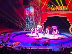 -珠海横琴长隆《卡卡虎奇遇记》