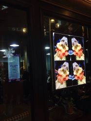 -3AM HAIR SALON染发烫发接发