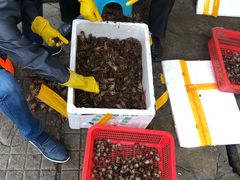 -四妹餐厅(玫瑰街店)