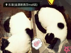 android_upload_pic-乐宠宠物店(世纪金源店)