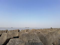 -上海滨江森林公园