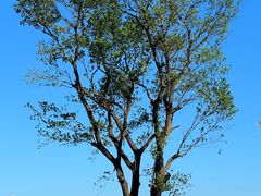 -小梅沙海滨乐园